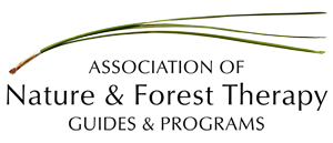 Association of Nature & Forest Therapy Programs Logo